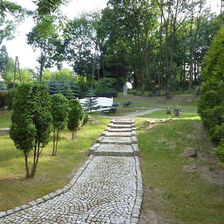 Viilla Rezidence Bed and Breakfast Kudowa-Zdrój Exterior foto